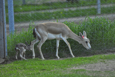 Similar image 21869398