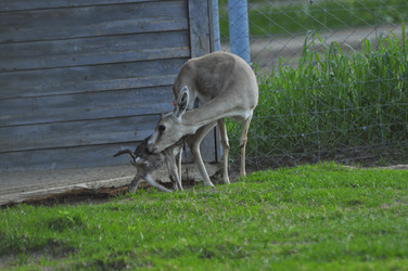 Similar image 21869399