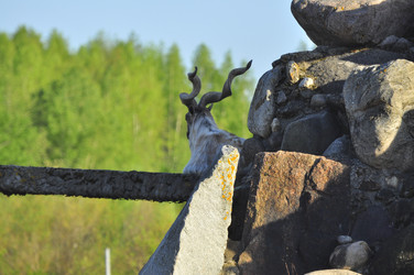 Similar image 21869400