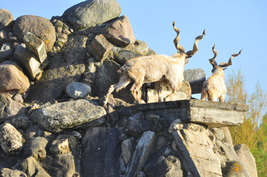 Similar image 21869401