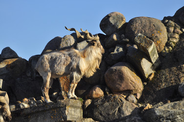 Similar image 21869402