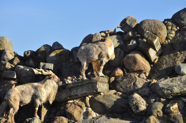 Similar image 21869403