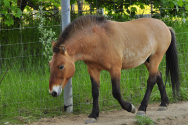 Similar image 21869404