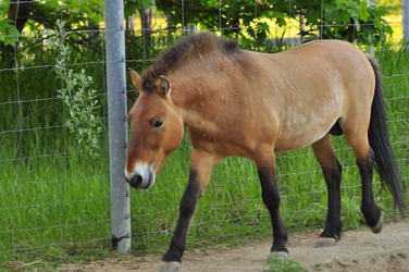 Similar image 21869405