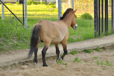 Similar image 21869406