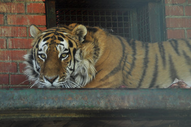 Similar image 21869407