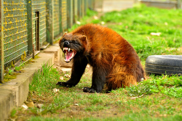 Similar image 21871864