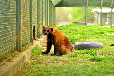 Similar image 21871865