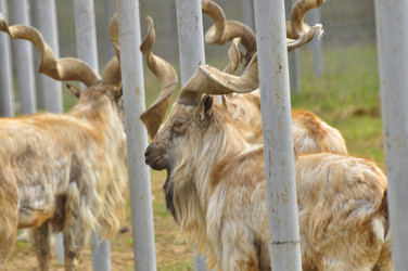 Similar image 21871866