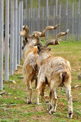 Similar image 21871867