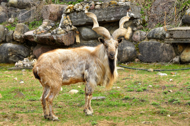 Similar image 21871868