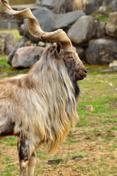 Similar image 21871869