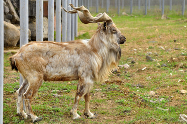 Similar image 21871870