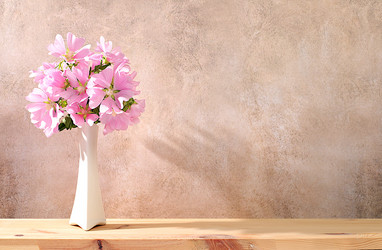 Similar image 21868999