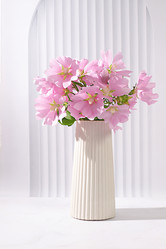 Similar image 21869001