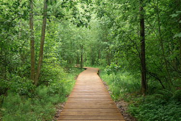 Similar image 21869005