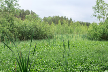 Similar image 21869006