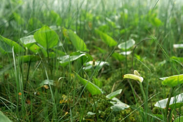 Similar image 21869009