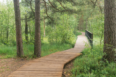 Similar image 21869011