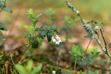 Similar image 21869015