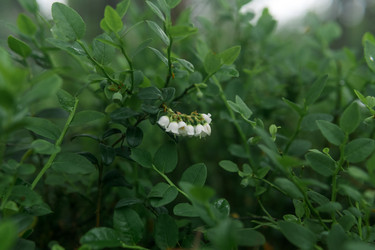 Similar image 21869016