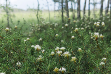 Similar image 21869017