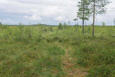 Similar image 21869023