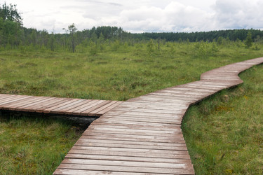 Similar image 21869024