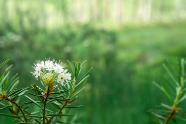 Similar image 21869029