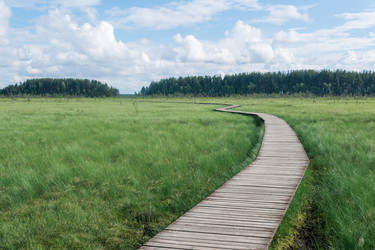 Similar image 21869031