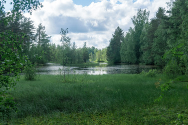 Similar image 21869034