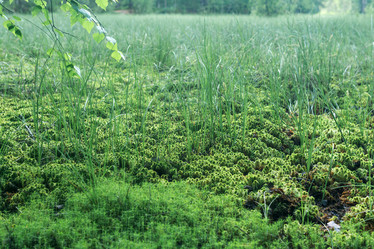 Similar image 21869035