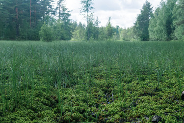 Similar image 21869036