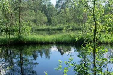 Similar image 21869188