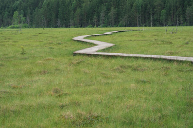 Similar image 21869191