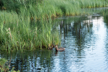 Similar image 21869195