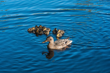 Similar image 21869196