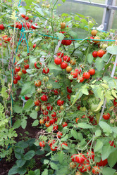 Similar image 21871805