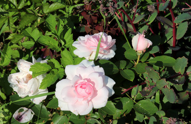 Similar image 21871808