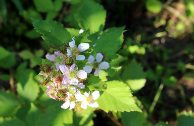 Similar image 21871809