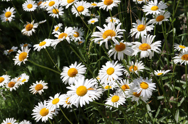 Similar image 21871811