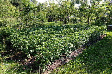 Similar image 21871812