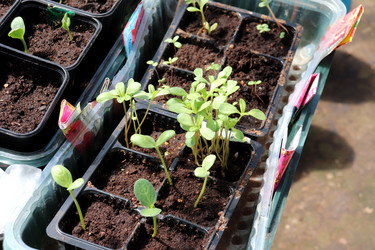 Similar image 21871814