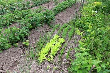 Similar image 21871815