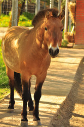 Similar image 21871874