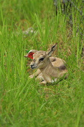 Similar image 21871876