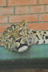 Similar image 21869409