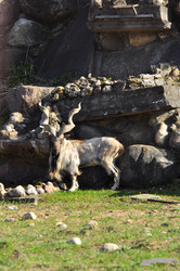 Similar image 21869411