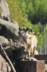 Similar image 21869412