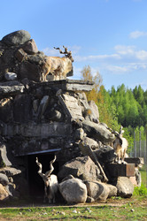 Similar image 21869413